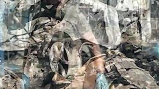 ЧЕСТНО  НЮЗ 4