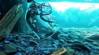 So there really is such clear water