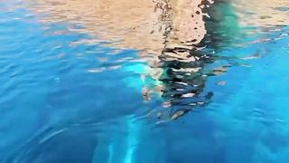 Would you try this?