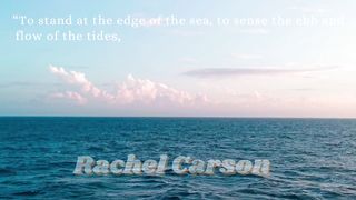 A Short Sonnet About The Sea