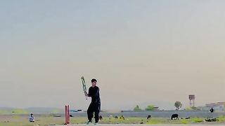 Awesome Sounds