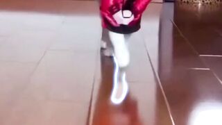Cat fashion show