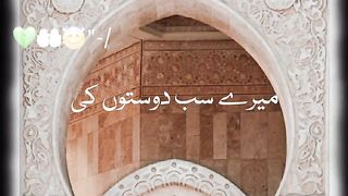 Top video 11