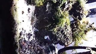 Aquascape 3