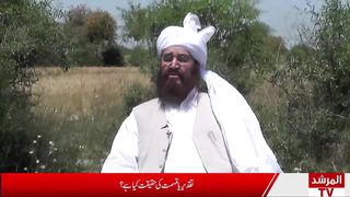 Mery Piyary Hazrat Ji Hazrat Molana Ameer Muhammad Akram Awan R.A 5