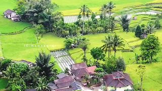 Pemandangan 21