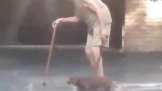 Dog matching the grandfather's walking speed
