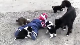 Child walking with puppy