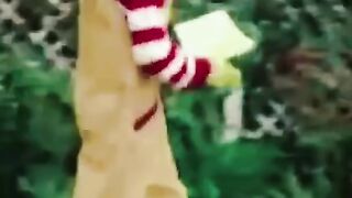 Ronald McDonald