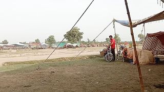 In a Cattle's Market