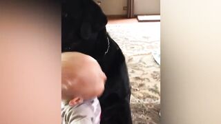 Laughing With Furry Friends