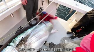 The strong man challenges the underwater giant with a heavy fishing rod # It turns out that fishing is the only way