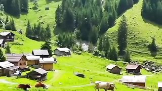 Switzerland is Heaven on Earth????????❤️???? 4k Place #fyp #travel #amazing