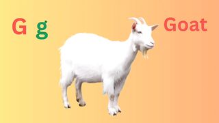 Learn Alphabet G g  for kids | Letter G g | ABCD preschool for kids
