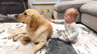 Golden Retriever Pup Makes Baby Cry But Says Sorry! (Cutest Ever!!)