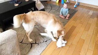 Adorable Baby Boy Talks To His Golden Retriever! (Cutest Ever!!)