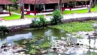 Kerala boating