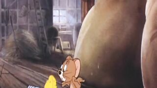 tom and jerry 17