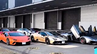 Creazy beasts everywhere lamborghinis squad