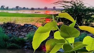 ###Amazing view
