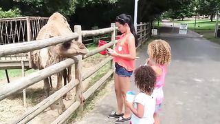 UNEXPECTED Animal ATTACKS! | AFVs Wildest Animal Moments 2