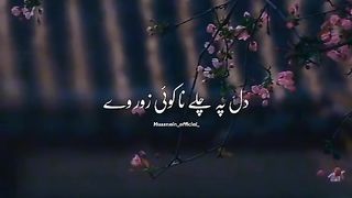 Video 239