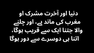 Aqwal e zareen in Urdu 8
