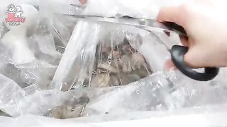 Mukbang korean seafood
