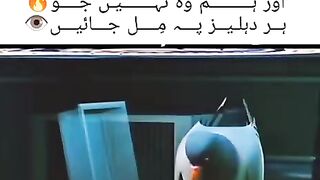 ???????????????????? 61