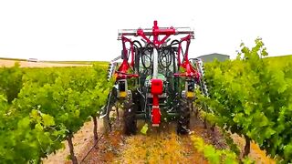 Modern Agriculture Machines That Are At Another Level #78
