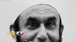Tariq jameel 14