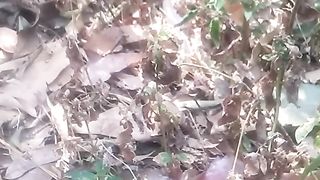 Animal lovers