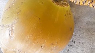 Minuman alami