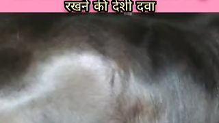 गाय/भैंस से मक्खियों को कैसे दूर रखें