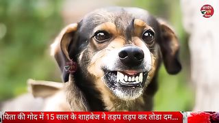 Dog bite little kid and taken his life