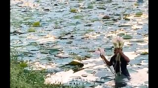 Assamese status video