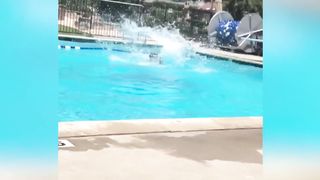 Looks Like a Losing Battle...???? | Funniest Fails | AFV 2019