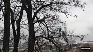 Emirates Airlines Plane Crossing The Motorway Before Landing Amazing Video
