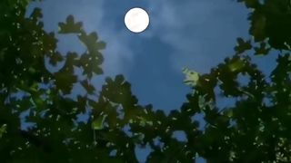 La belle lune.