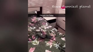 New Funny Animals ???? Funniest Dogs And Cats Videos 2023???????? 3