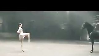 horse dance