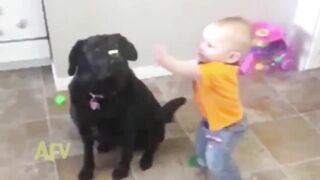 The dog which has its snacks stolen