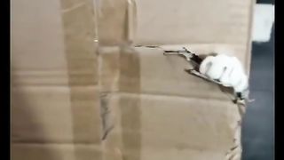 Cats new funny video ????????#viral #funny #cat #fyp