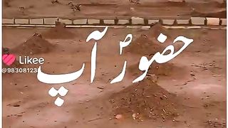 Qaber