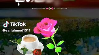 اللہ پاک ہم سب پر اپنا رحم و فضل وکرم فرما دے