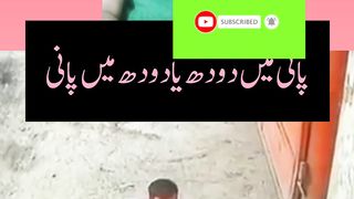 Funny video