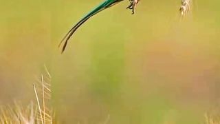 Job Insan Ki Roh Nikalny wali hoti hai Firashtay atay hn aur 5 Sawal Pochtay hn