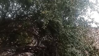سبحان الله اللہ پاک عظیم ہے