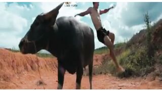 to become a true martial artist