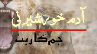 Man Eater Lioness.